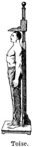 toise médicale