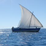 Excursions en bateau 