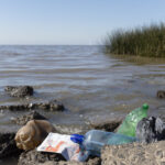 la pollution thermique