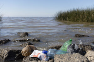 la pollution thermique