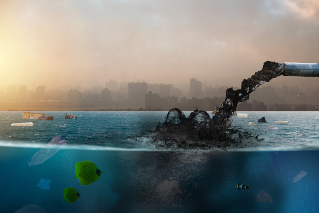 Impacts environnementaux de la pollution thermique