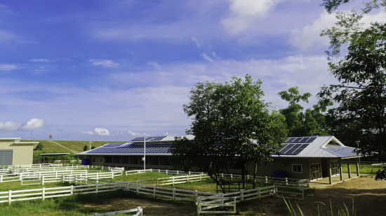 énergies renouvelables