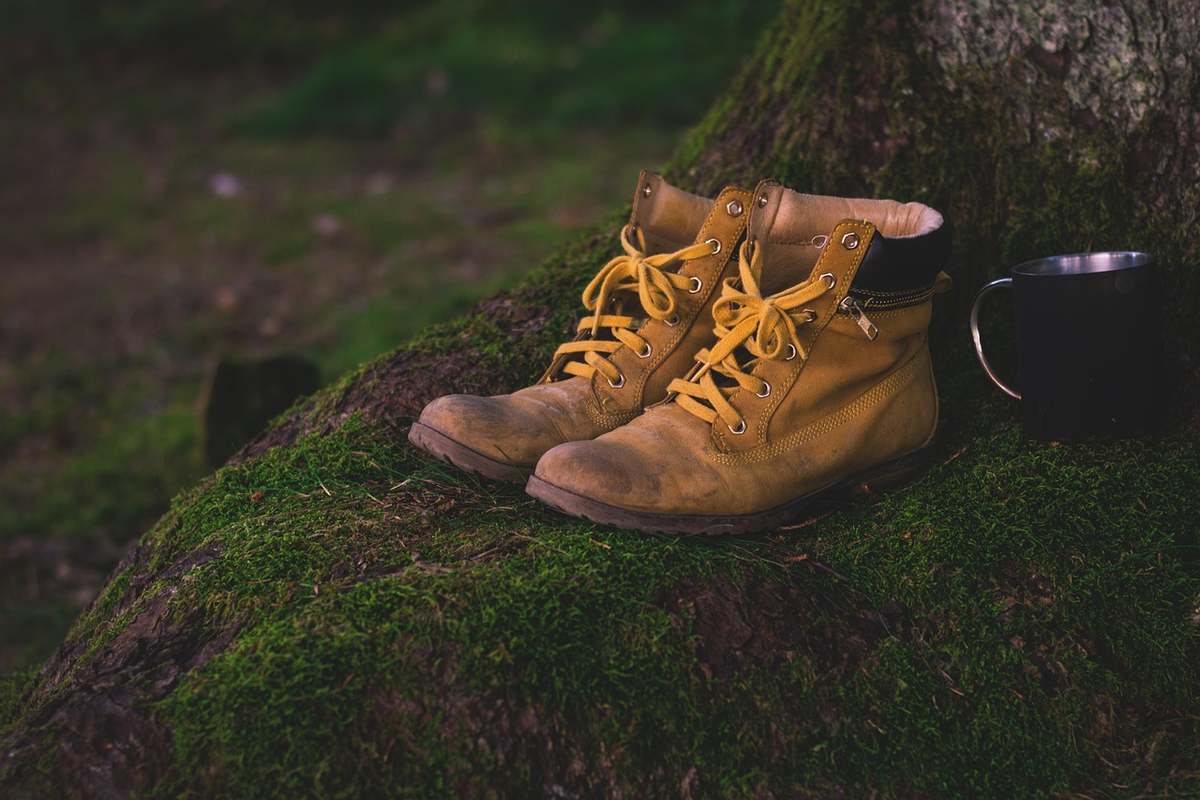 Chaussures de marche sur un chemin balisé en forêt