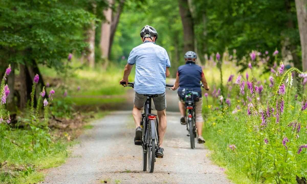 Cyclistes sur une piste forestière avec fleurs violettes
