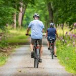 Cyclistes sur une piste forestière avec fleurs violettes