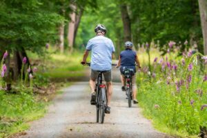 Cyclistes sur une piste forestière avec fleurs violettes
