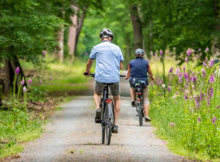 Cyclistes sur une piste forestière avec fleurs violettes