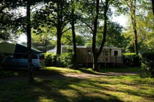Caravane et maison mobile entourées de verdure dans un cadre de camping