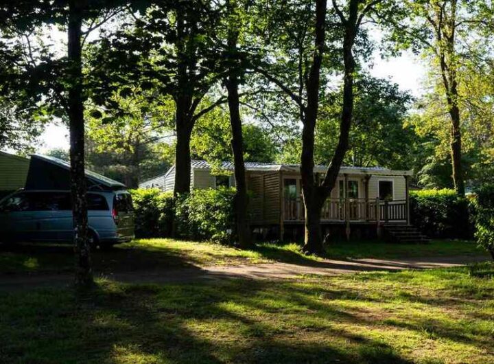 Caravane et maison mobile entourées de verdure dans un cadre de camping