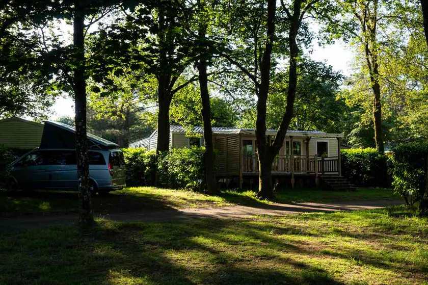 Caravane et maison mobile entourées de verdure dans un cadre de camping